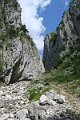 IMG_0387_Qafë murrë